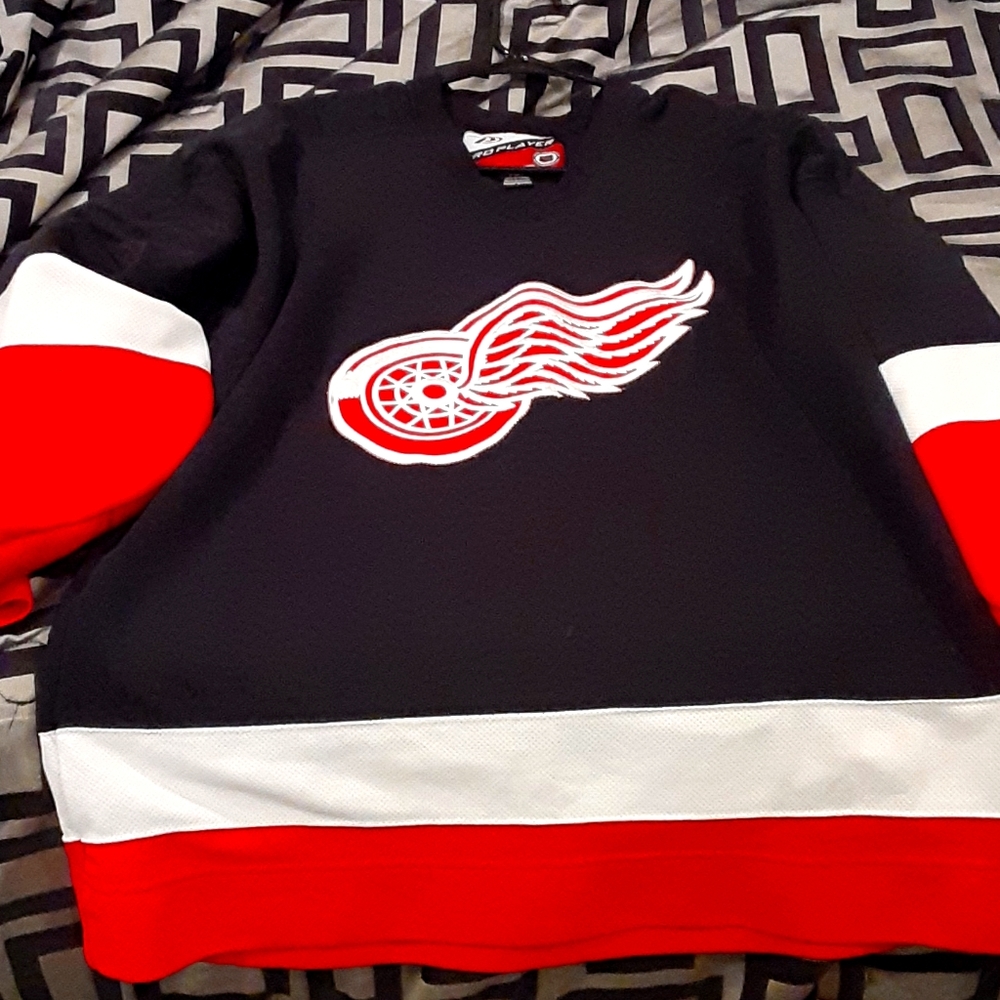 Rare Vintage 1990s Black Red Wings Jersey